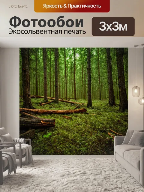 Фотообои старый заброшенный лес, древесные остатки, загадки прошлого