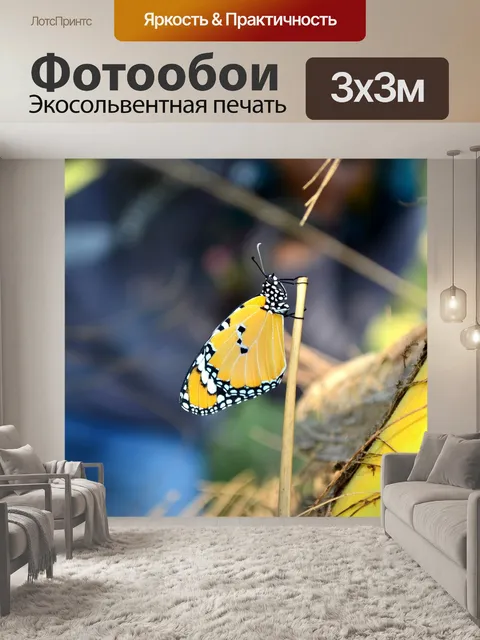 Фотообои Синий тигр бабочка