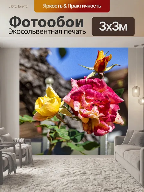 Фотообои Розы