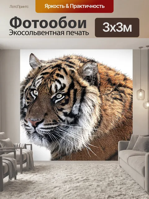 Фотообои Тигр