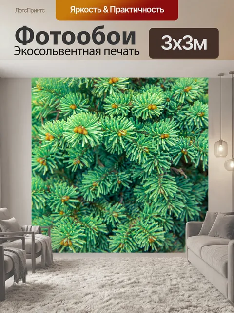 Фотообои Фон зеленые иглы