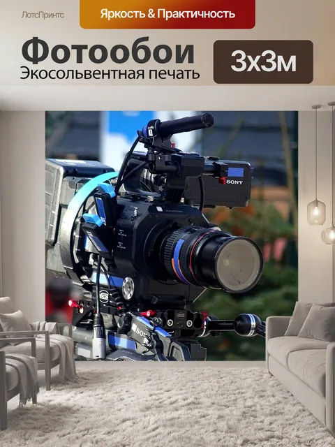 Фотообои Профессиональная видеокамера Sony