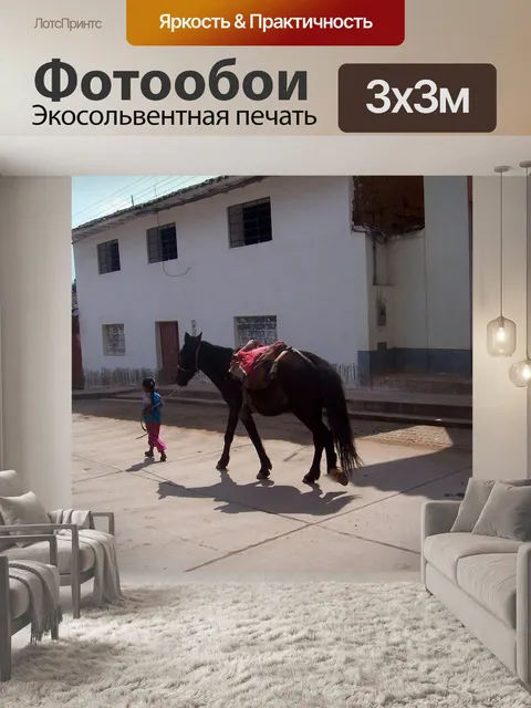 Фотообои Лошадь