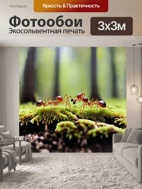 Фотообои муравьи, три маленьких, трудящихся насекомых, ползут по мшистому ковру леса
