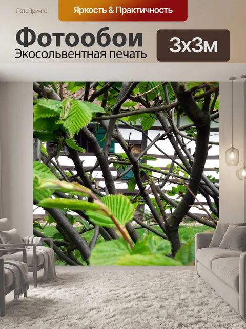 Фотообои Природа