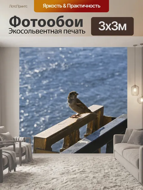 Фотообои Воробей на реке