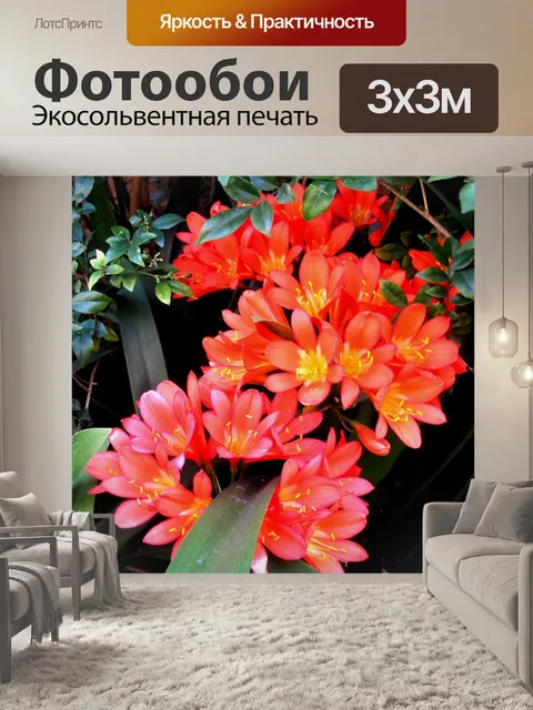 Фотообои Кливия miniata