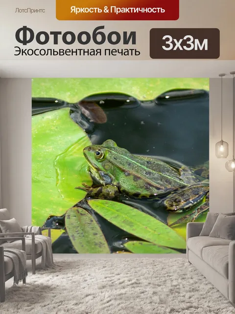 Фотообои Зеленая лягушка