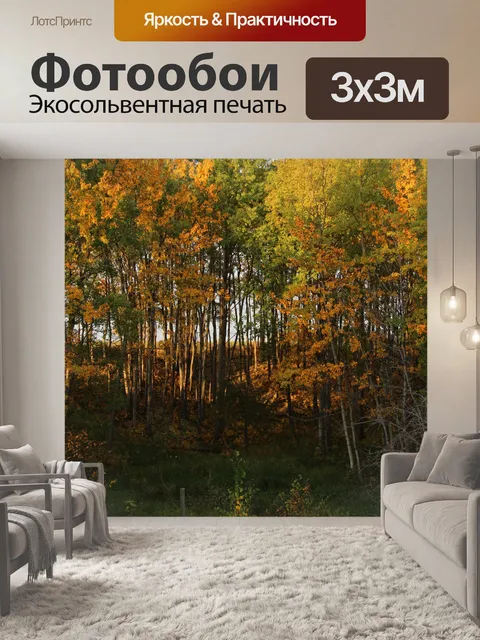 Фотообои Осенние листья