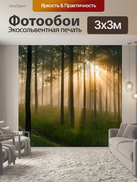 Фотообои Сосновый лес