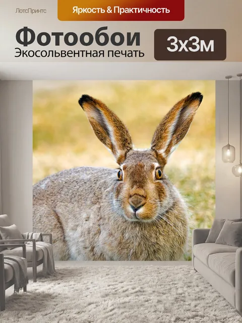 Фотообои Зайчик