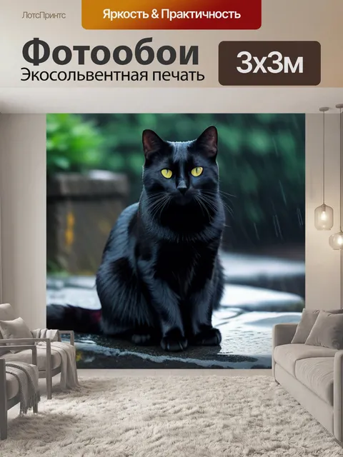 Фотообои черный кот сидит на старых камнях под дождем