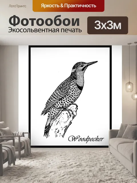 Фотообои Иллюстрация дятла