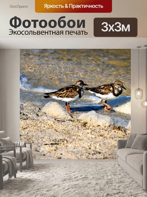 Фотообои Руди поворотные камни фон