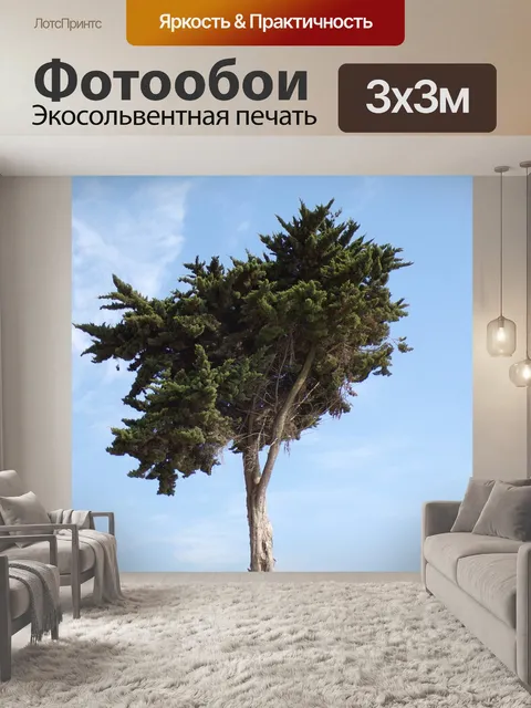 Фотообои Дерево