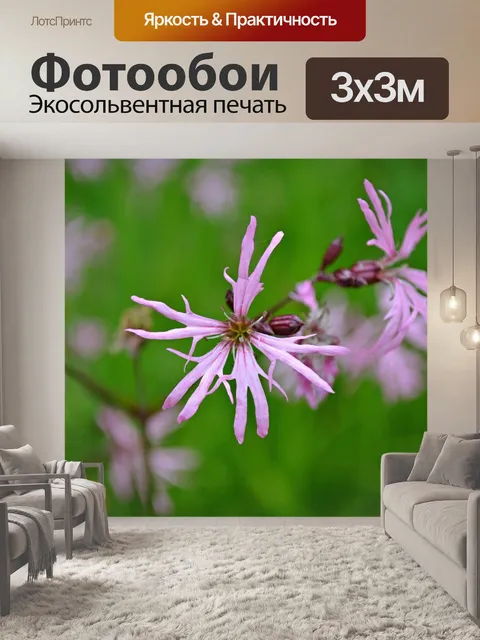 Фотообои Цветы
