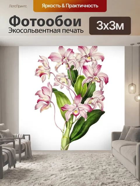 Фотообои Винтажный клипарт цветы орхидеи