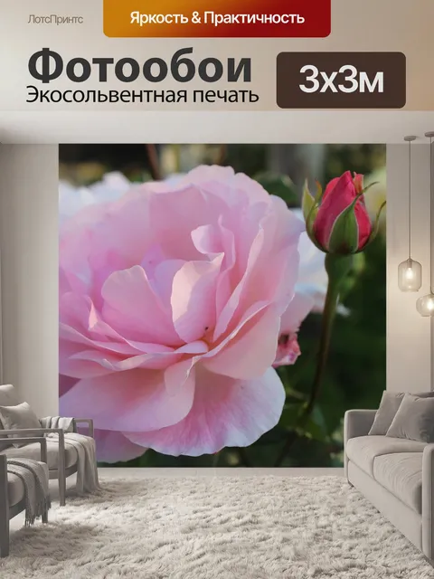 Фотообои Розы