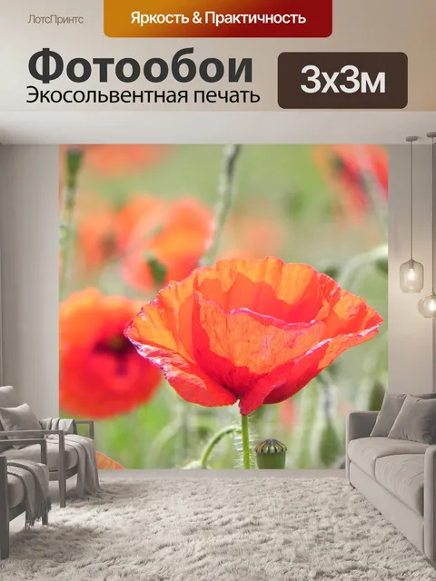 Фотообои Мак