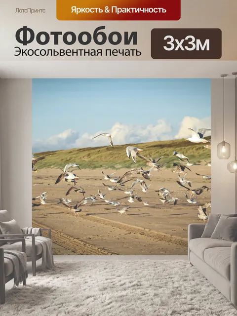 Фотообои Чайки