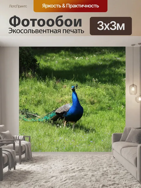 Фотообои Птица