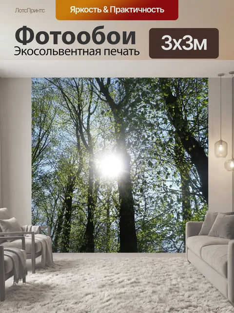 Фотообои Солнце