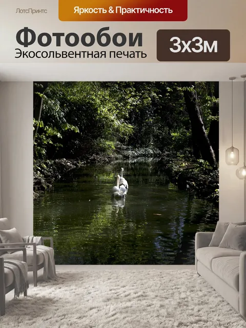 Фотообои Лебеди