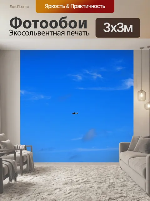 Фотообои самолет с неподвижным крылом в небе