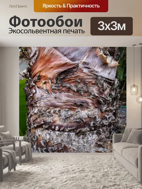Фотообои Корень дерева пальмы