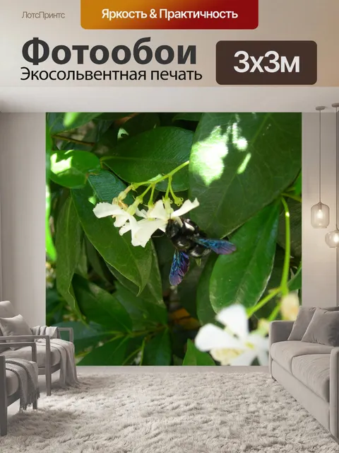 Фотообои Бурдон Черный жасмин Помеченные