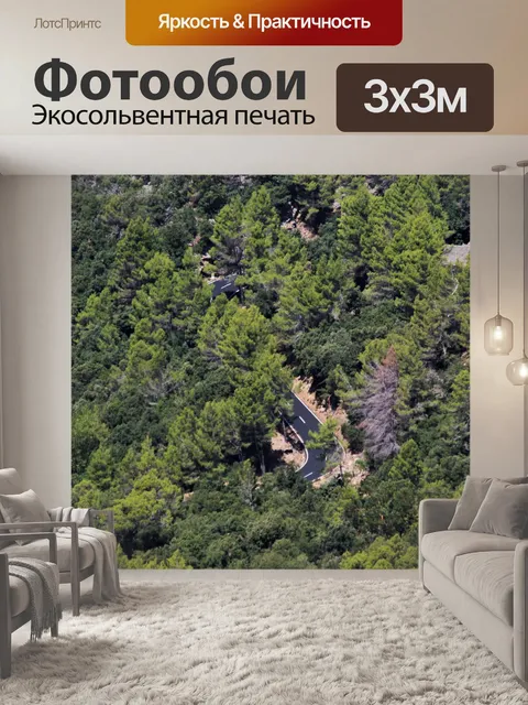 Фотообои Лес