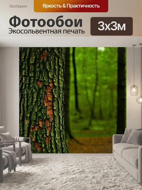 Фотообои лес с различными оттенками зелёного и текстурированием коры деревьев