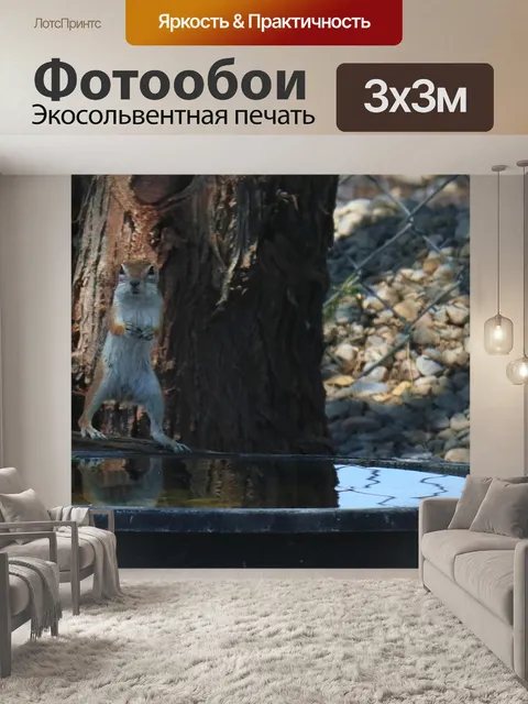 Фотообои Антилопа белочка