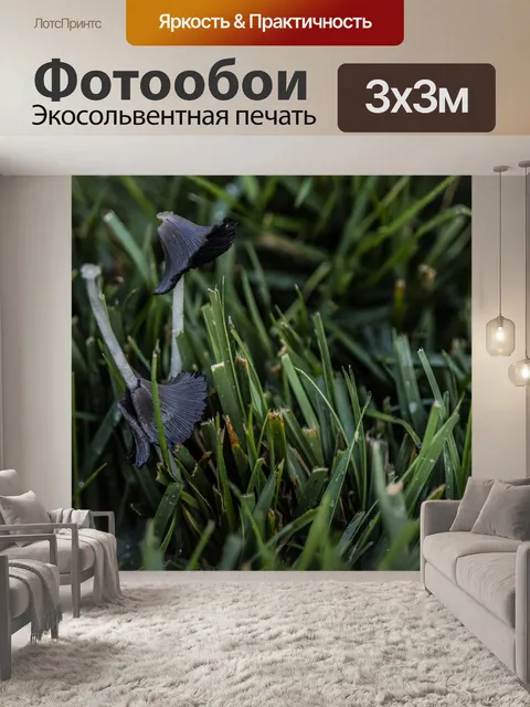 Фотообои Газон гриб в фиолетовый
