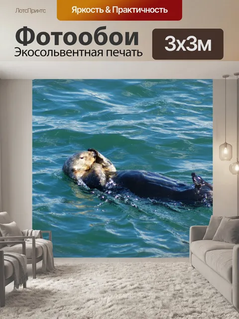 Фотообои Выдра