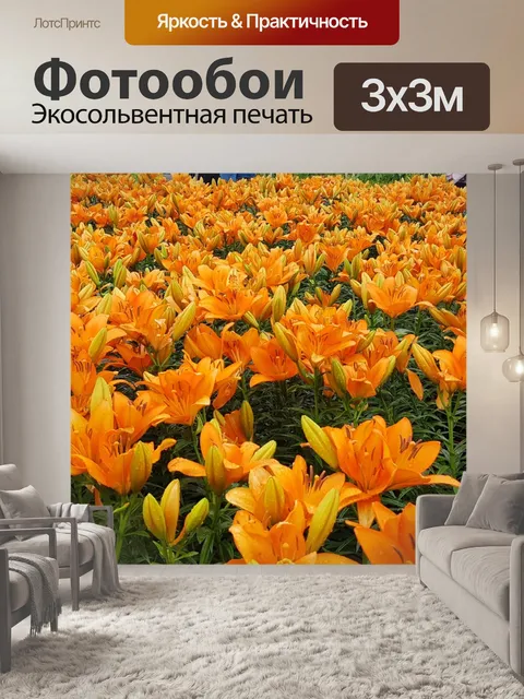 Фотообои Оранжевые цветы
