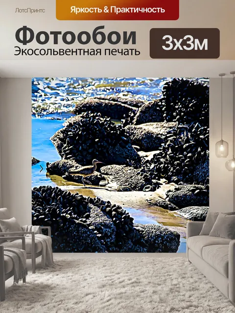 Фотообои Береговая птица кроншнепа