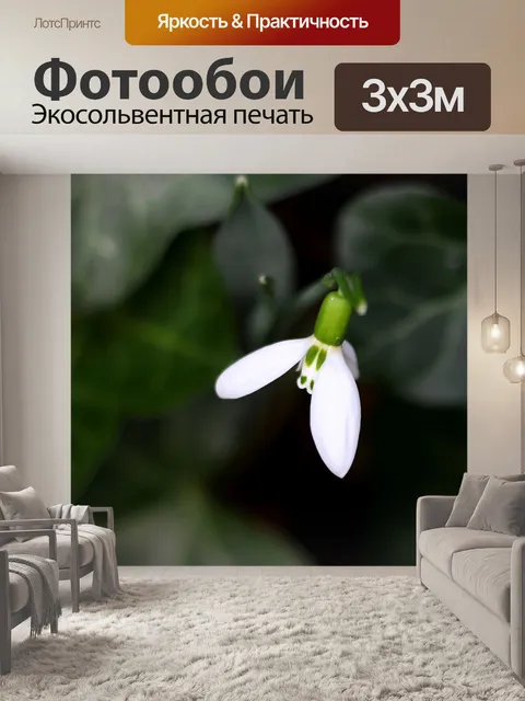 Фотообои Подснежник