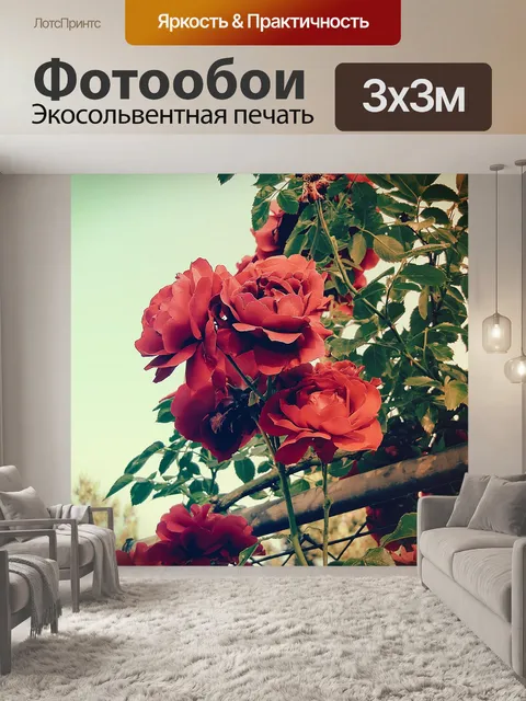 Фотообои Роза