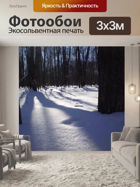 Фотообои Trail в снегу