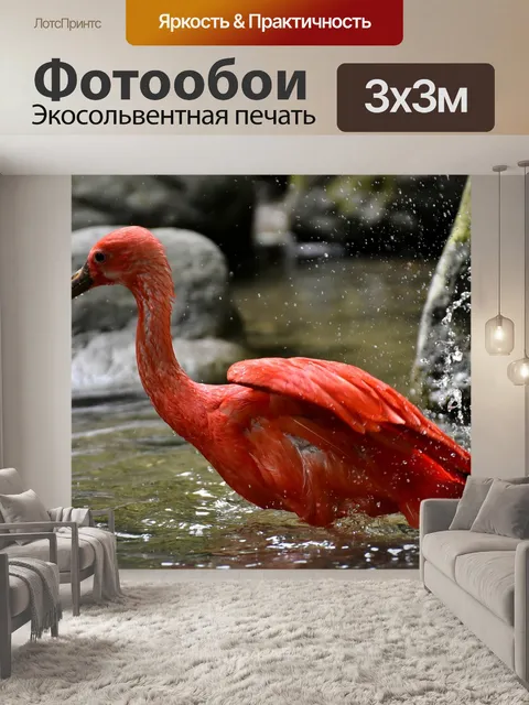 Фотообои Ибис
