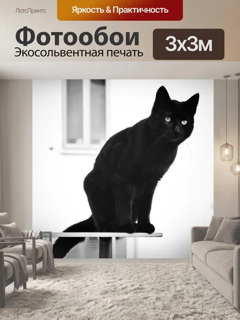 Фотообои Кошка