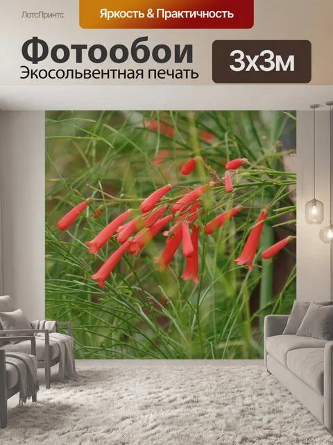 Фотообои Сад
