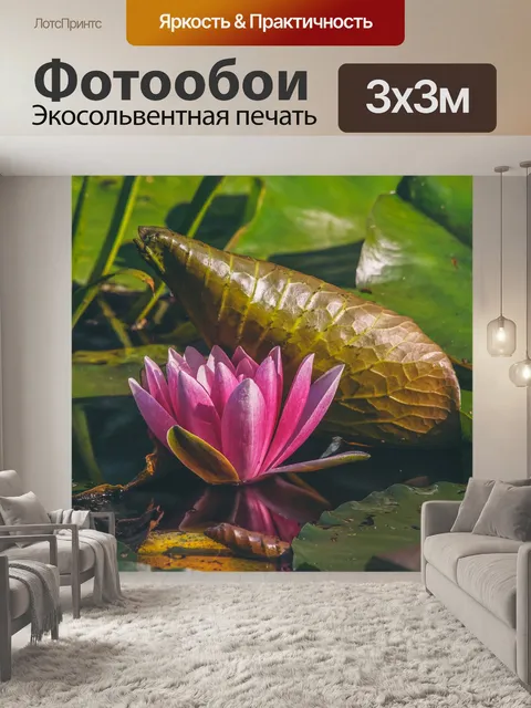 Фотообои Водяная лилия