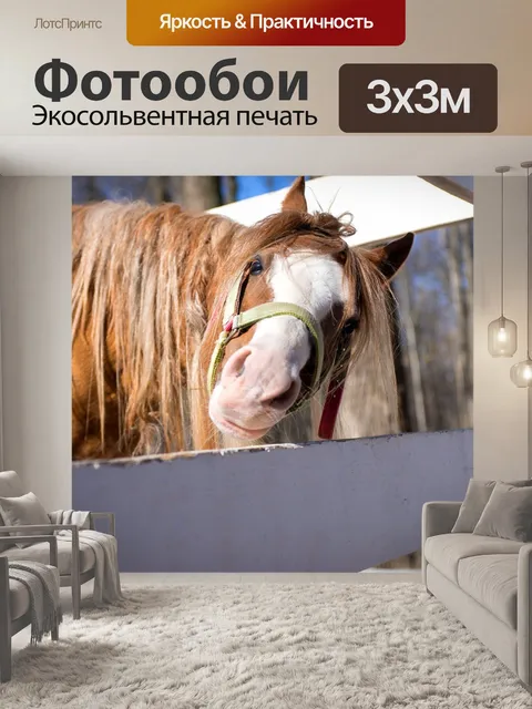 Фотообои Лошадь