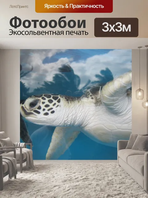 Фотообои Морская черепаха