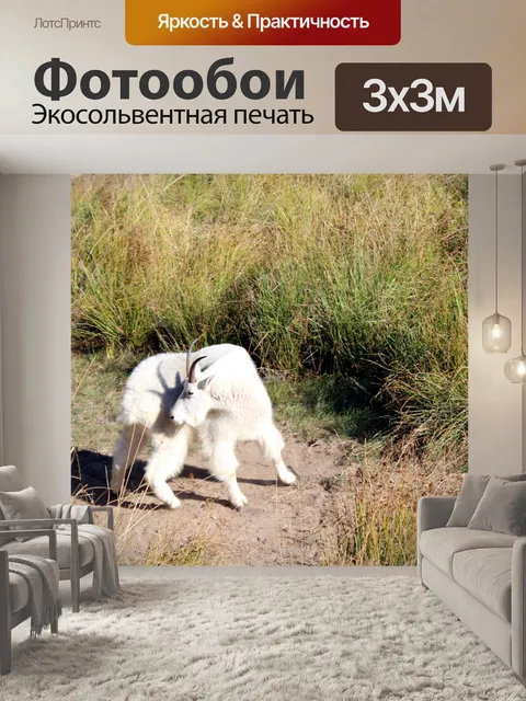 Фотообои Горный козел