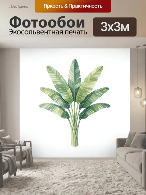 Фотообои Тропические листья банановой пальмы