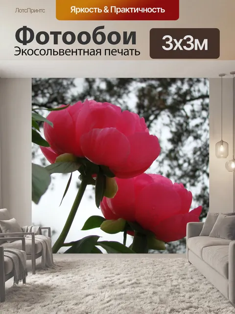 Фотообои Розовые пионы