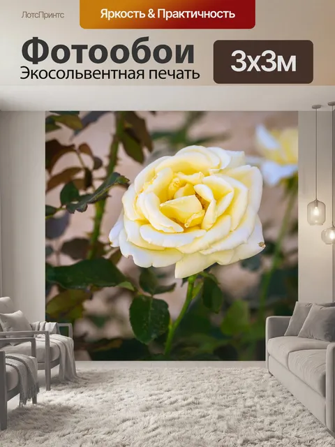 Фотообои Розовый